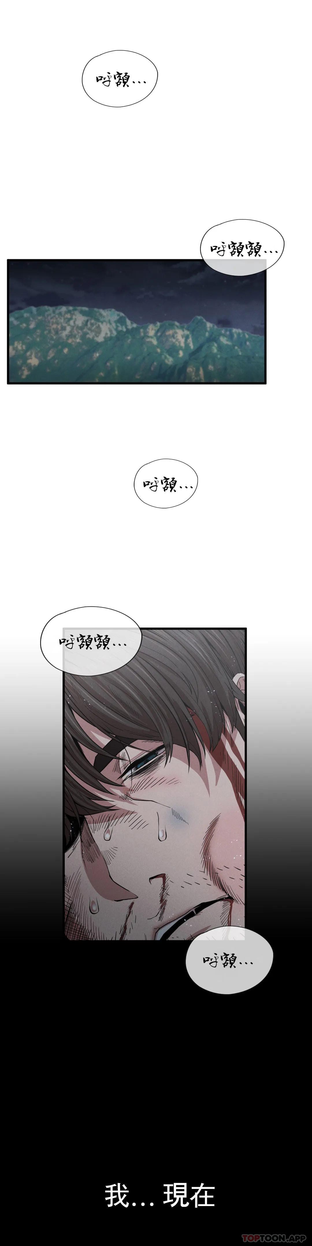 43P - 复仇