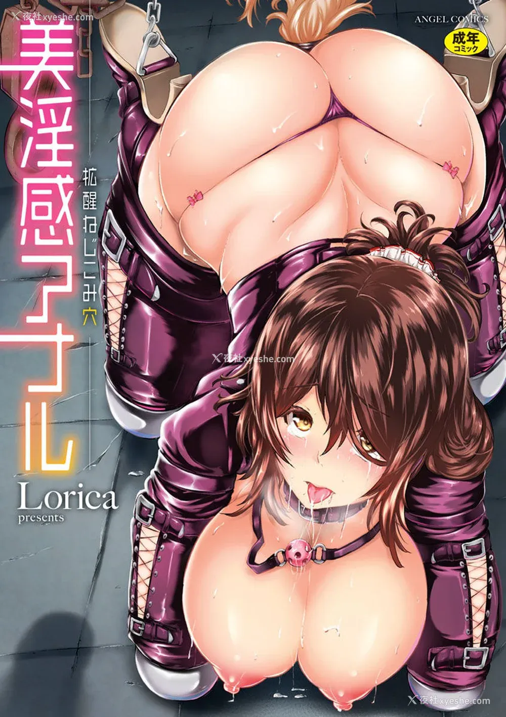 2P - [Lorica] 美淫感アナル～拡醒ねじこみ穴～｜美淫感猥菊花 塞入扩张觉醒穴 [不想记名个人汉化]