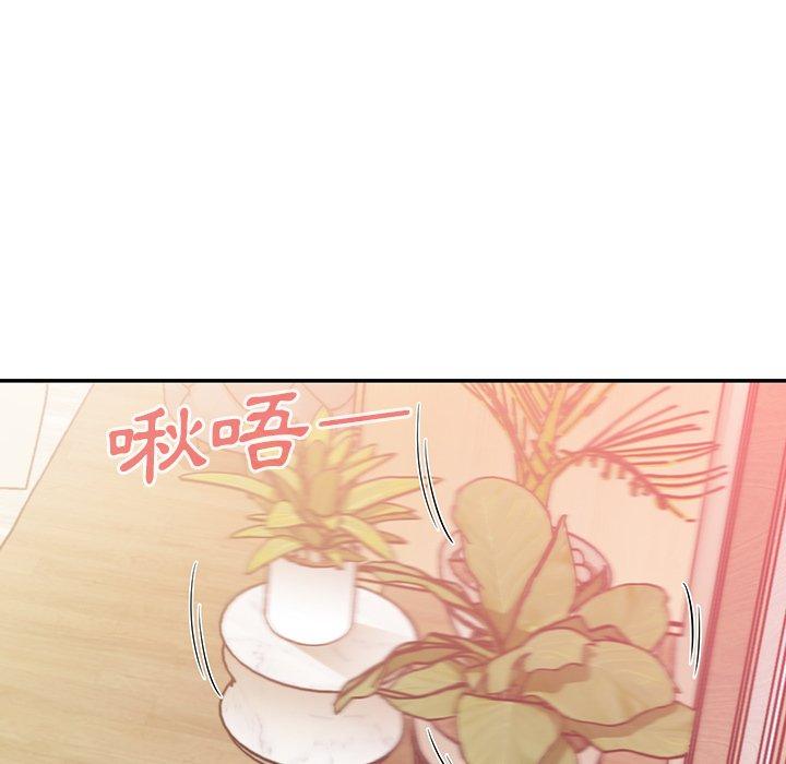 9P - 邻居的逆袭