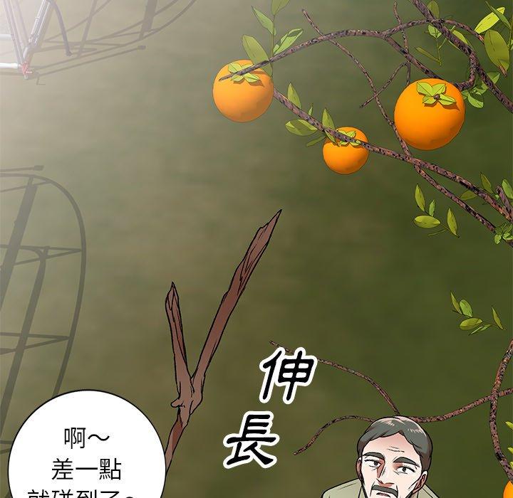 26P - 小夫妻的返乡生活