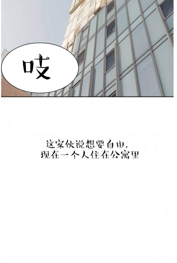 21P - 完美的饲养