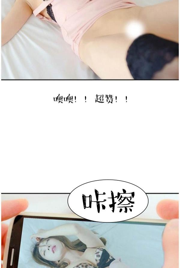 22P - 完美的饲养