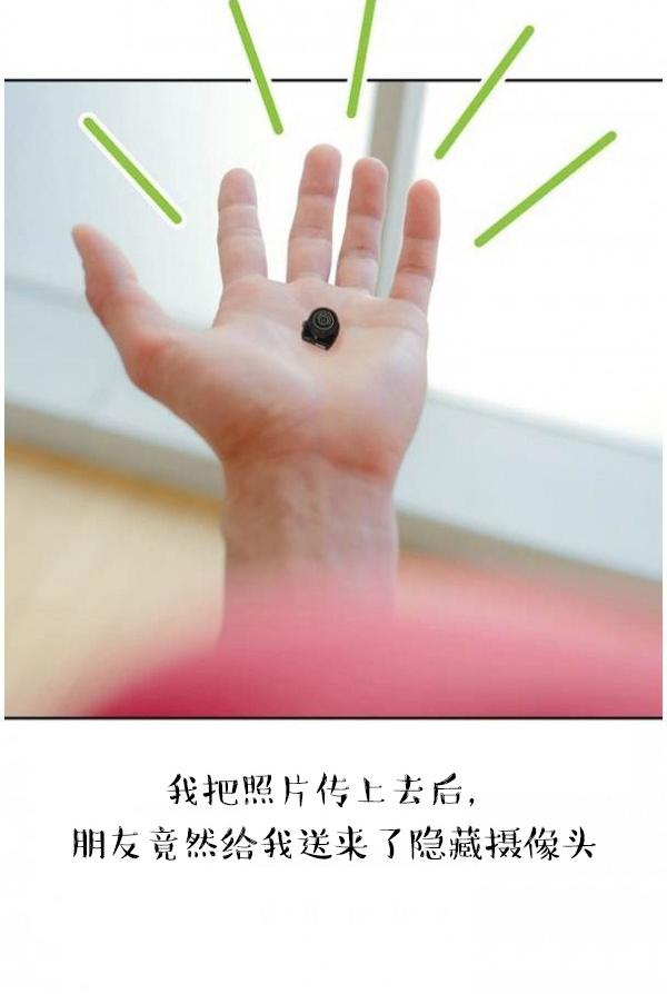28P - 完美的饲养