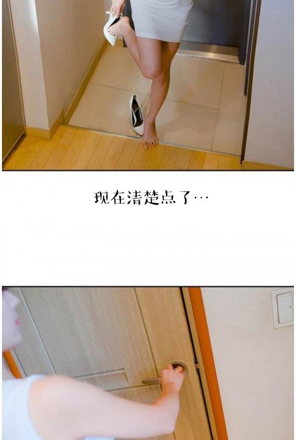 40P - 完美的饲养