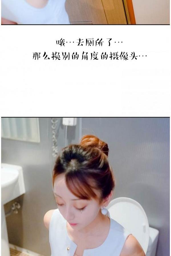 41P - 完美的饲养