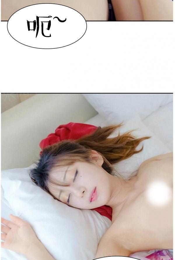 28P - 完美的饲养
