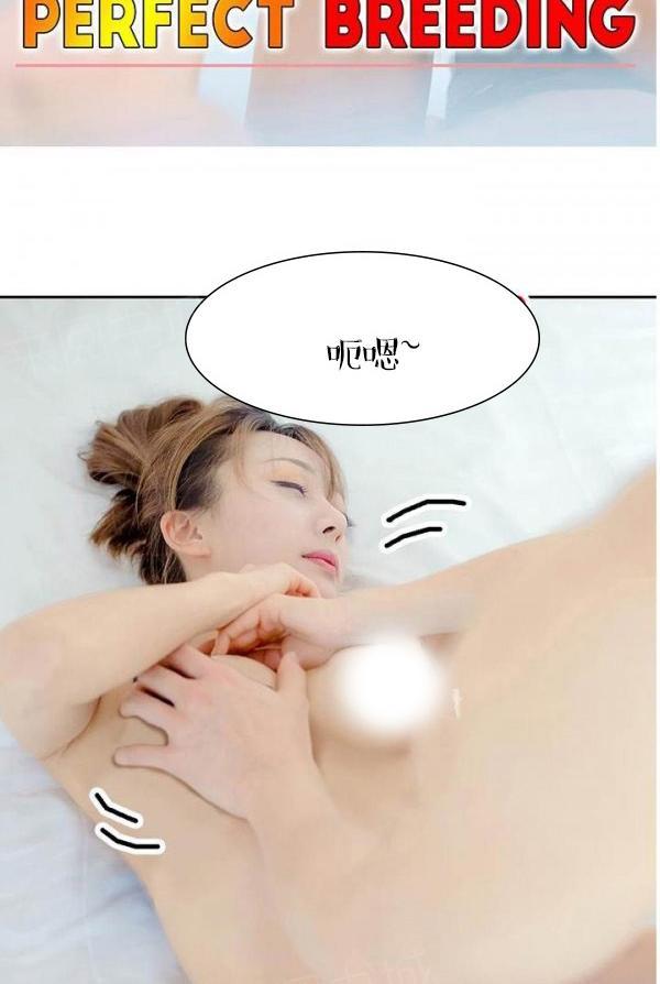 2P - 完美的饲养