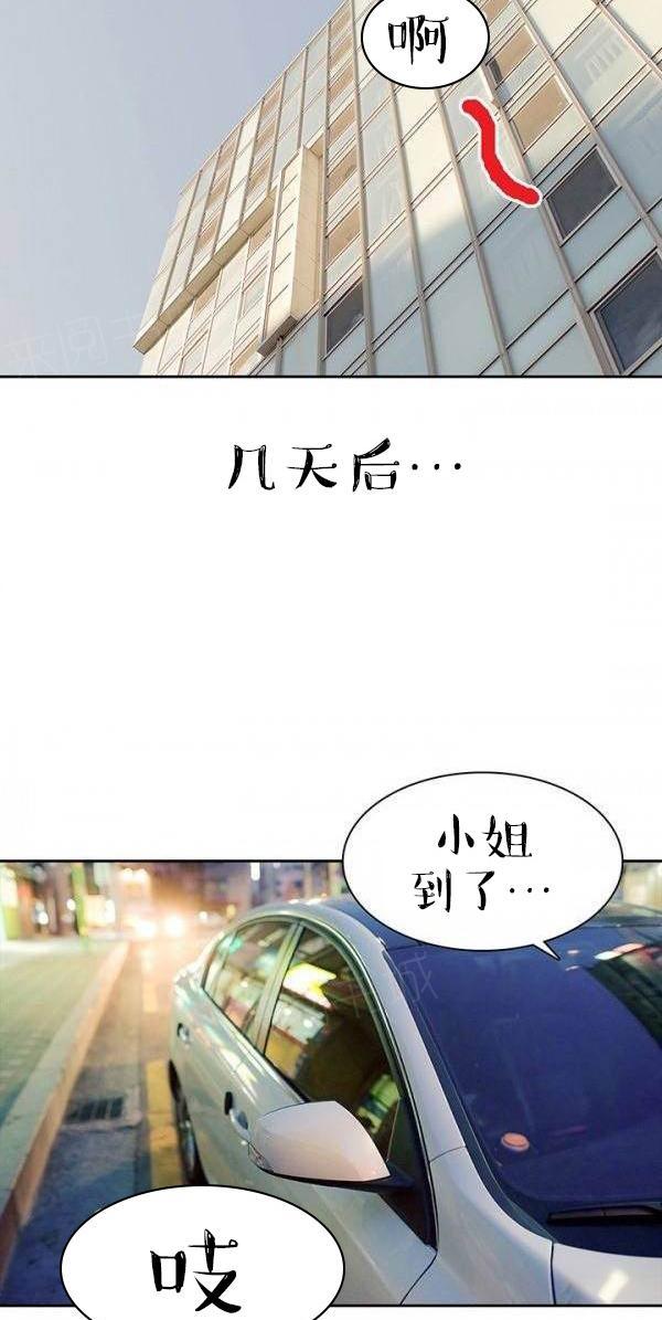 7P - 完美的饲养