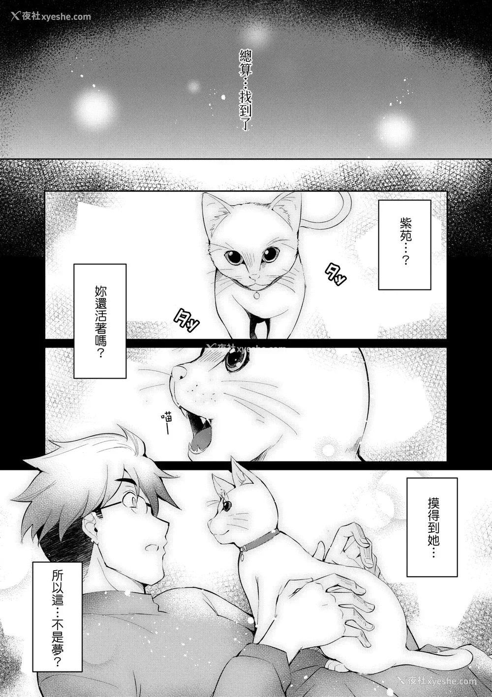 41P - [猫伊光] ラブレス・セックス｜先性后爱 [中国翻訳] [无修正] [DL版]