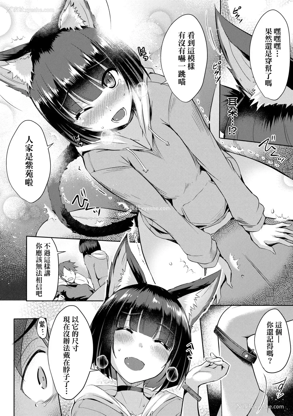 47P - [猫伊光] ラブレス・セックス｜先性后爱 [中国翻訳] [无修正] [DL版]