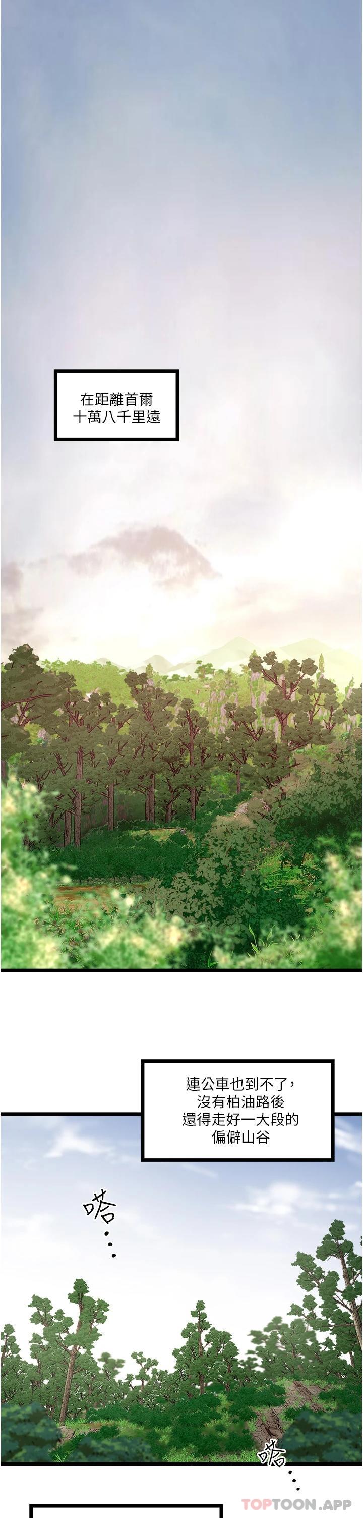 1P - 私人司机