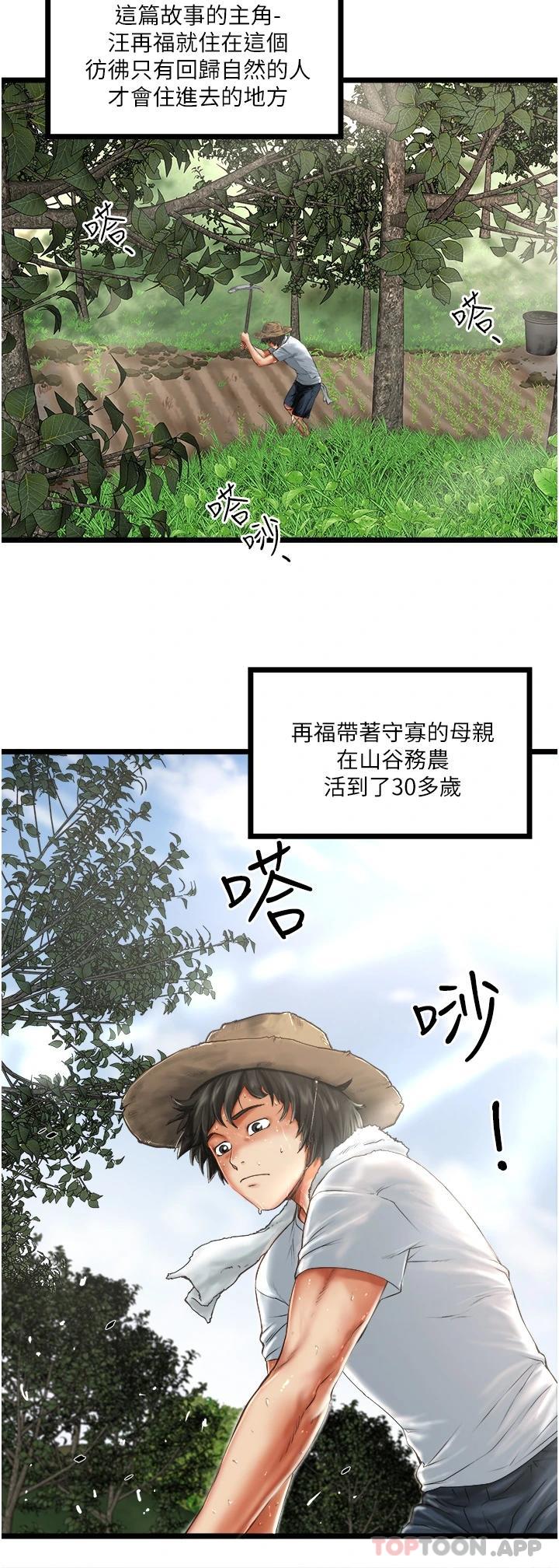 2P - 私人司机
