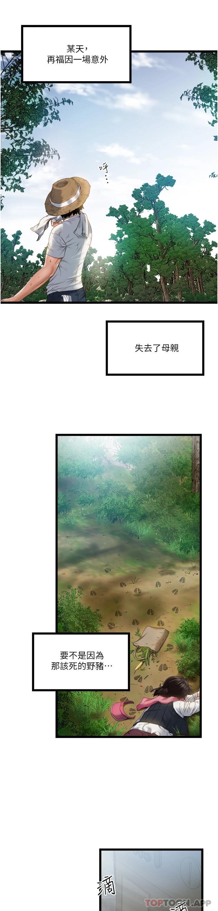 3P - 私人司机