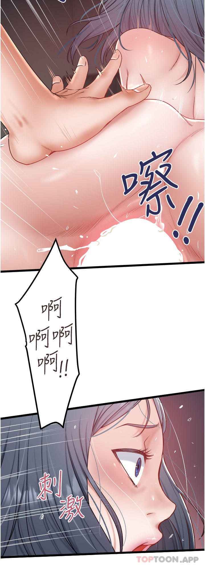 12P - 私人司机