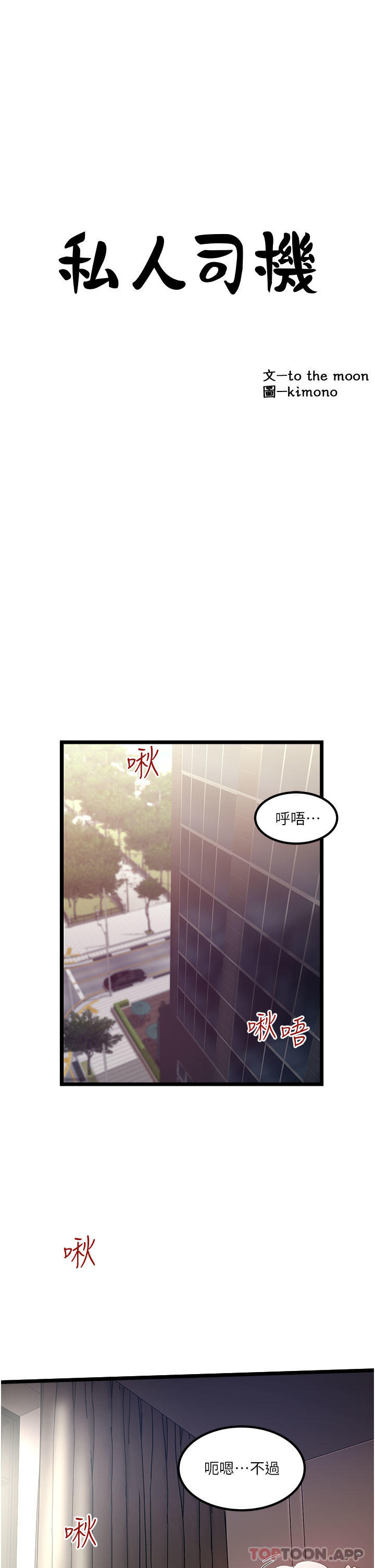 3P - 私人司机