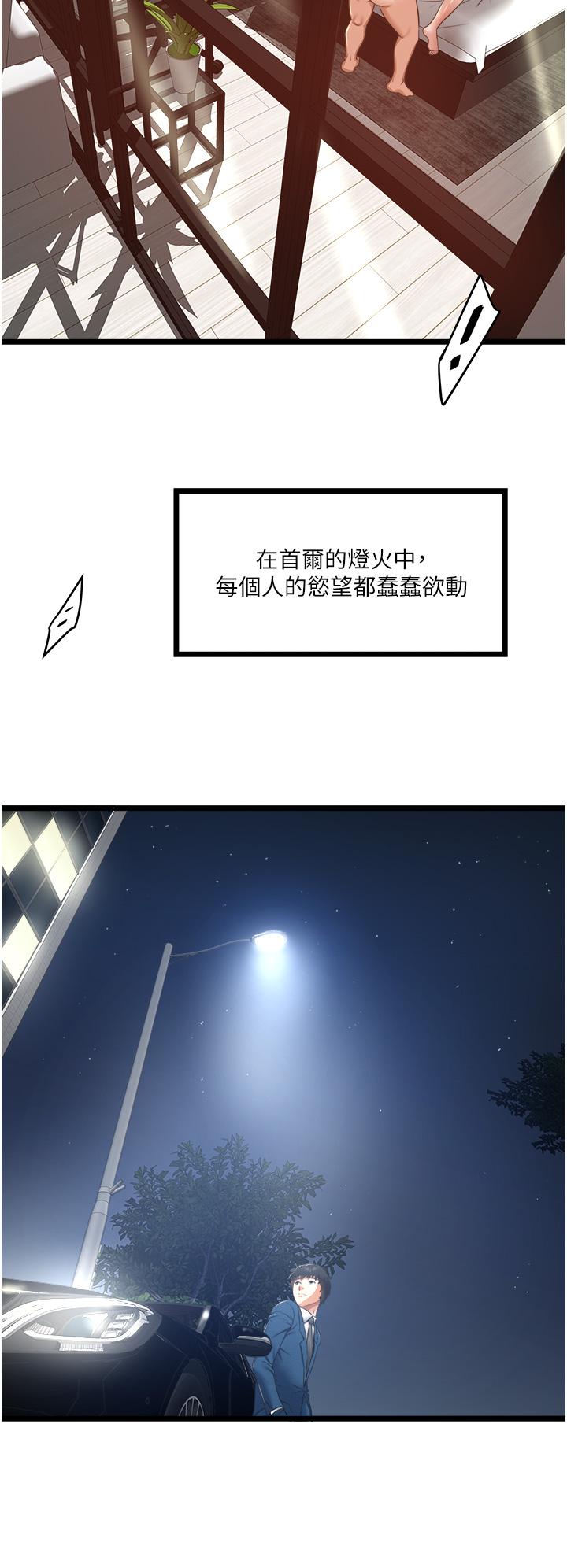 46P - 私人司机