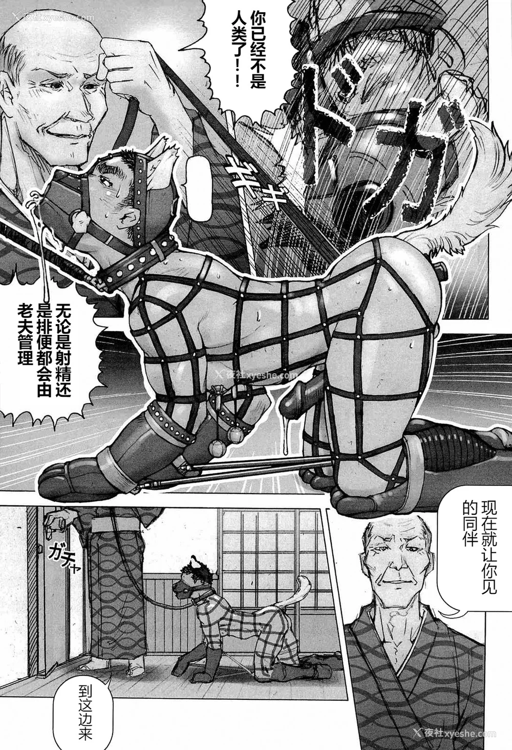 87P - [櫂まこと] トレーニング・ドッグ [不死鸟个人汉化]
