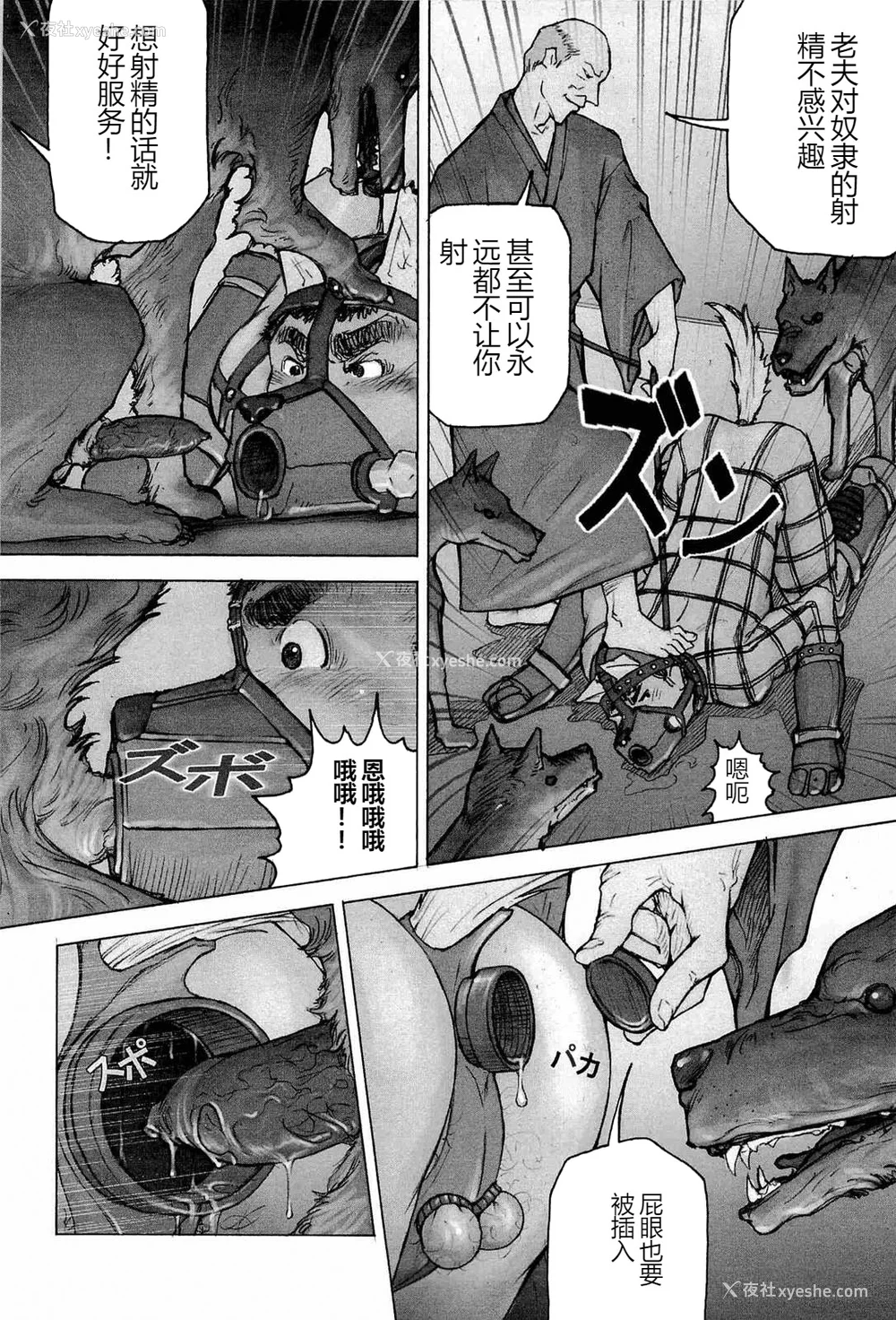 90P - [櫂まこと] トレーニング・ドッグ [不死鸟个人汉化]