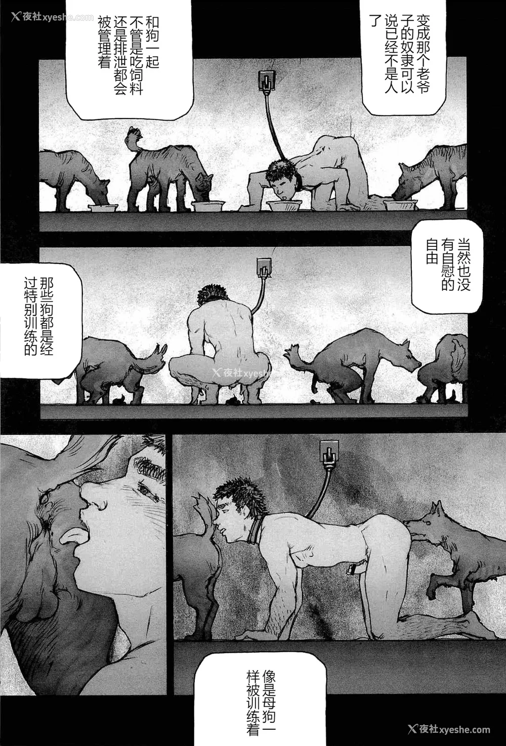 93P - [櫂まこと] トレーニング・ドッグ [不死鸟个人汉化]