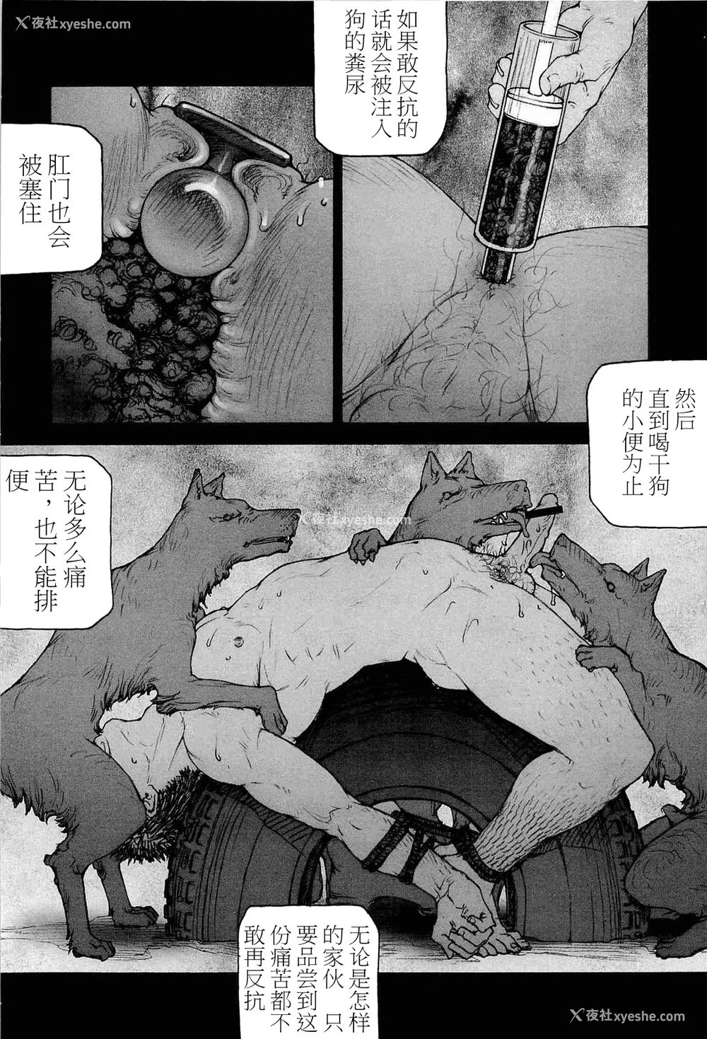 94P - [櫂まこと] トレーニング・ドッグ [不死鸟个人汉化]