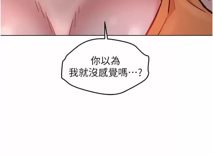 40P - 友情万睡