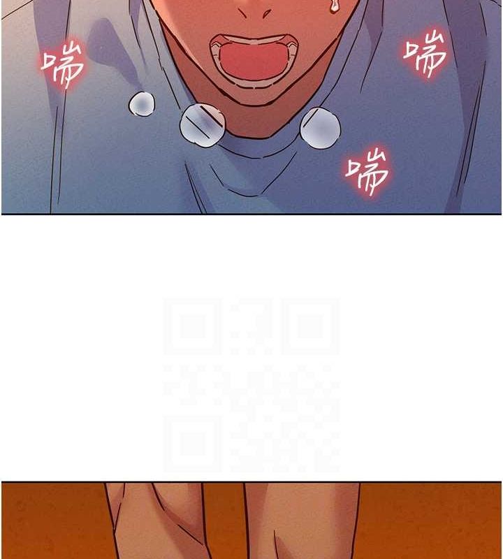 13P - 友情万睡