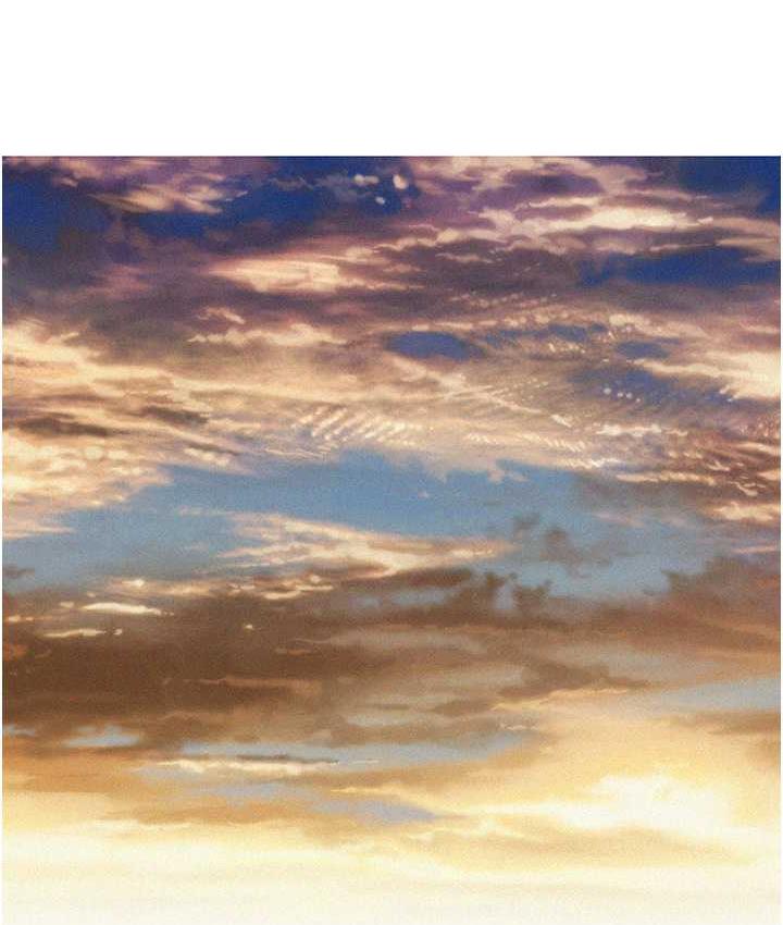8P - 友情万睡