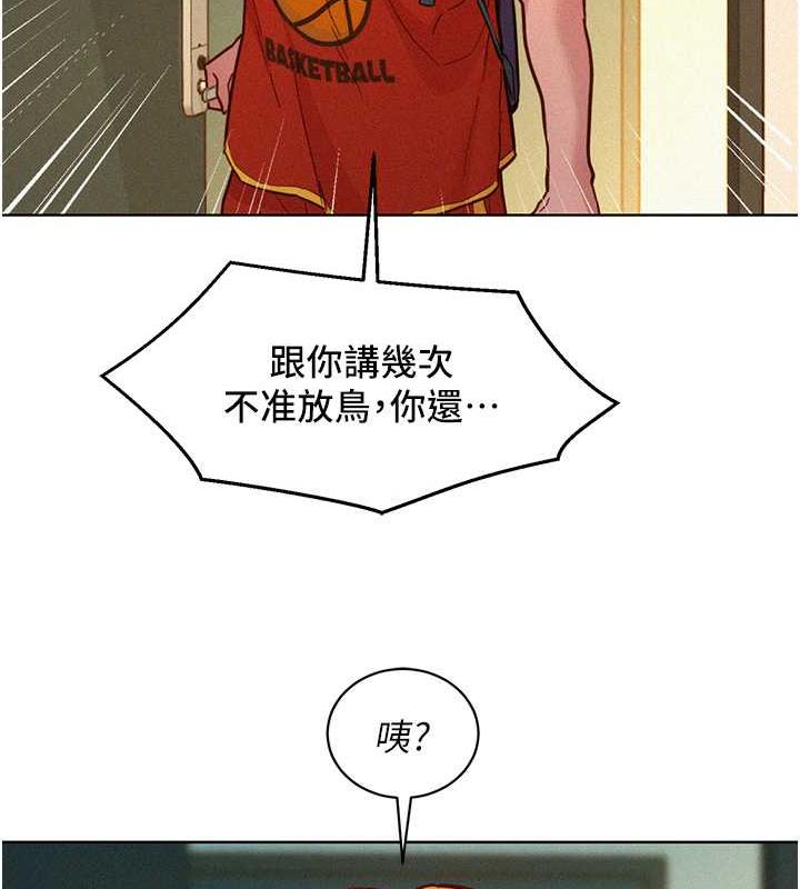 12P - 友情万睡