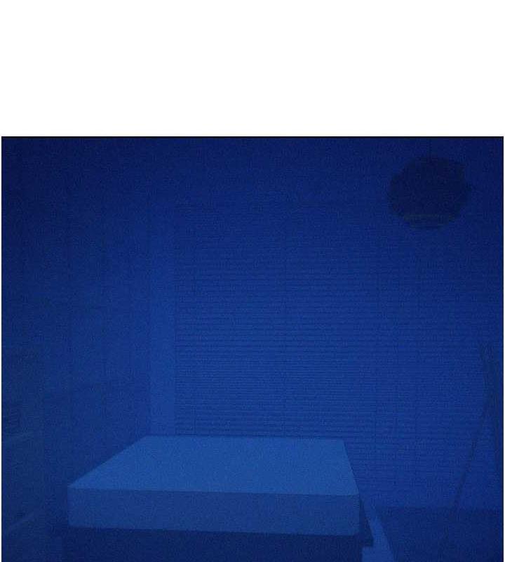 117P - 友情万睡
