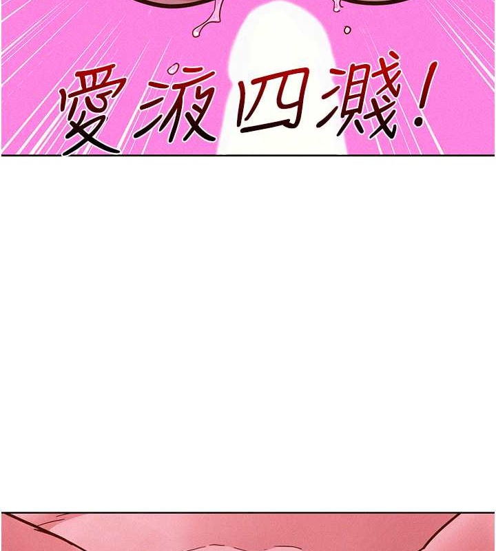 5P - 友情万睡