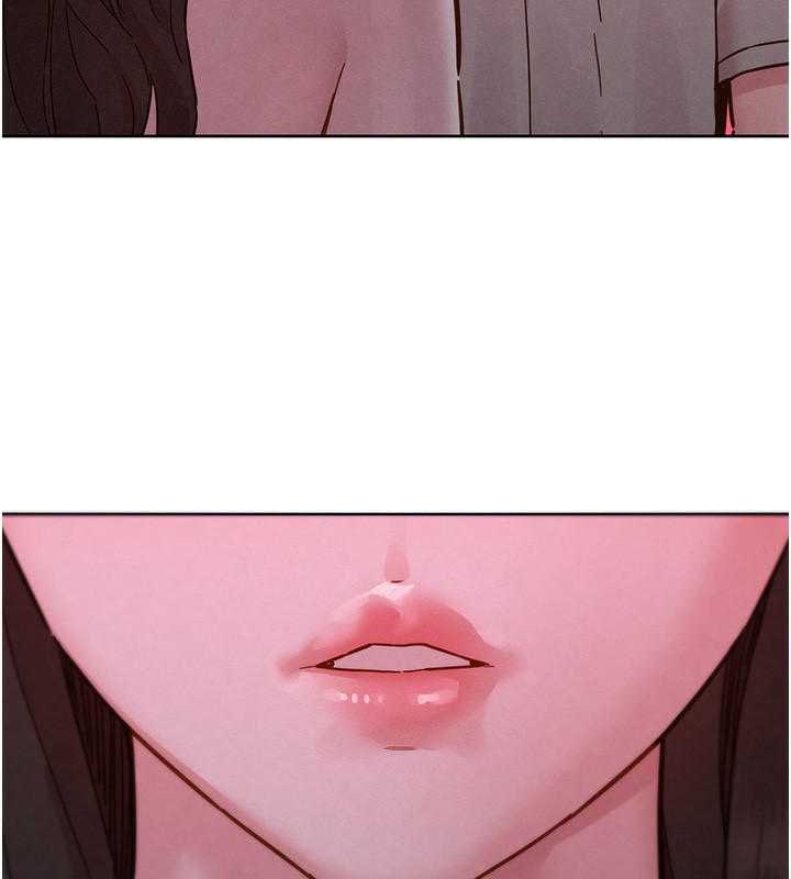 49P - 友情万睡
