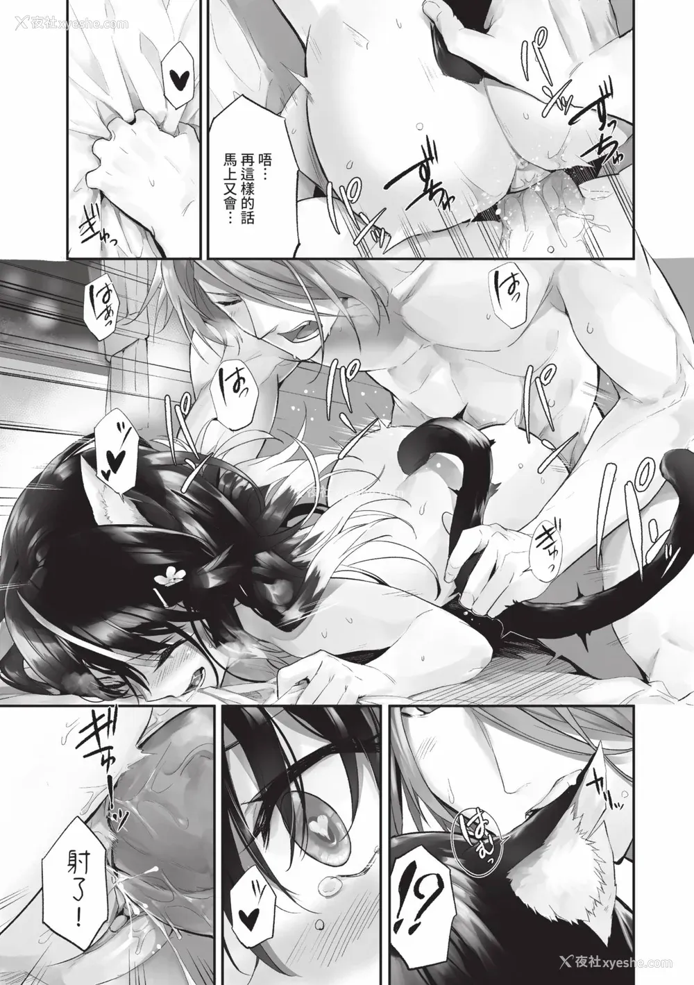 100P - [京极灯弥] 獣耳のリコリス2｜兽耳的丽可莉丝2 [中国翻訳] [无修正] [DL版]