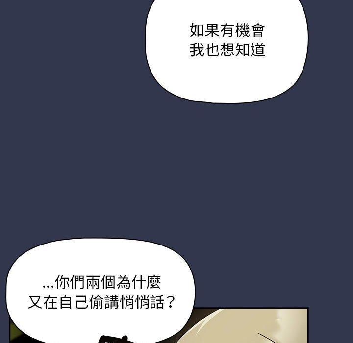 41P - 欢迎加入粉丝团！/粉丝招募中！