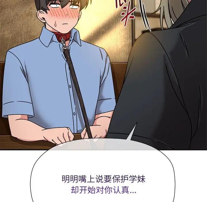 31P - 欢迎加入粉丝团！/粉丝招募中！