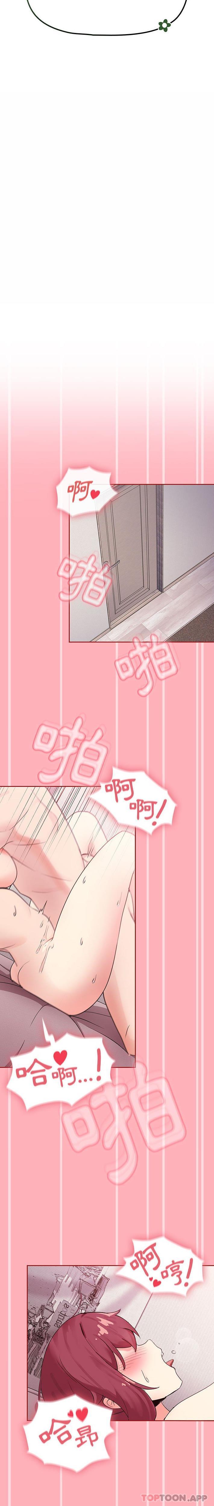 13P - 欢迎加入粉丝团！/粉丝招募中！