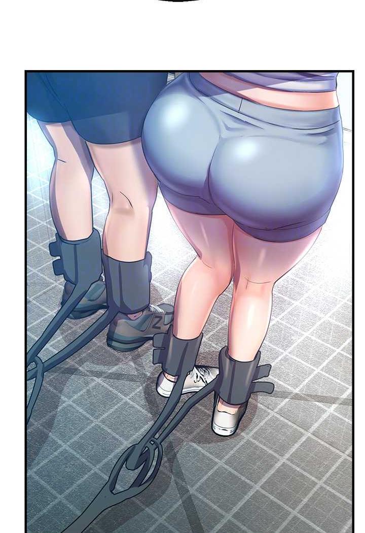 74P - 命运湿乐园