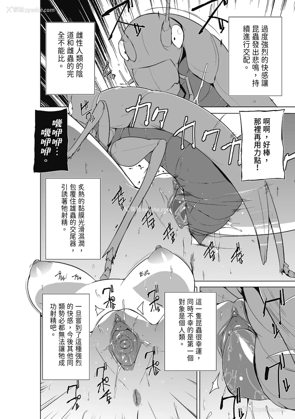 96P - [千叶哲太郎] 虫游戯～母娘虫奸～ [中国翻訳] [无修正] [DL版]
