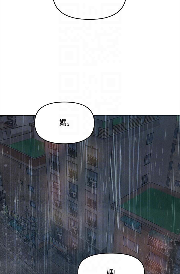 6P - 可疑的代表
