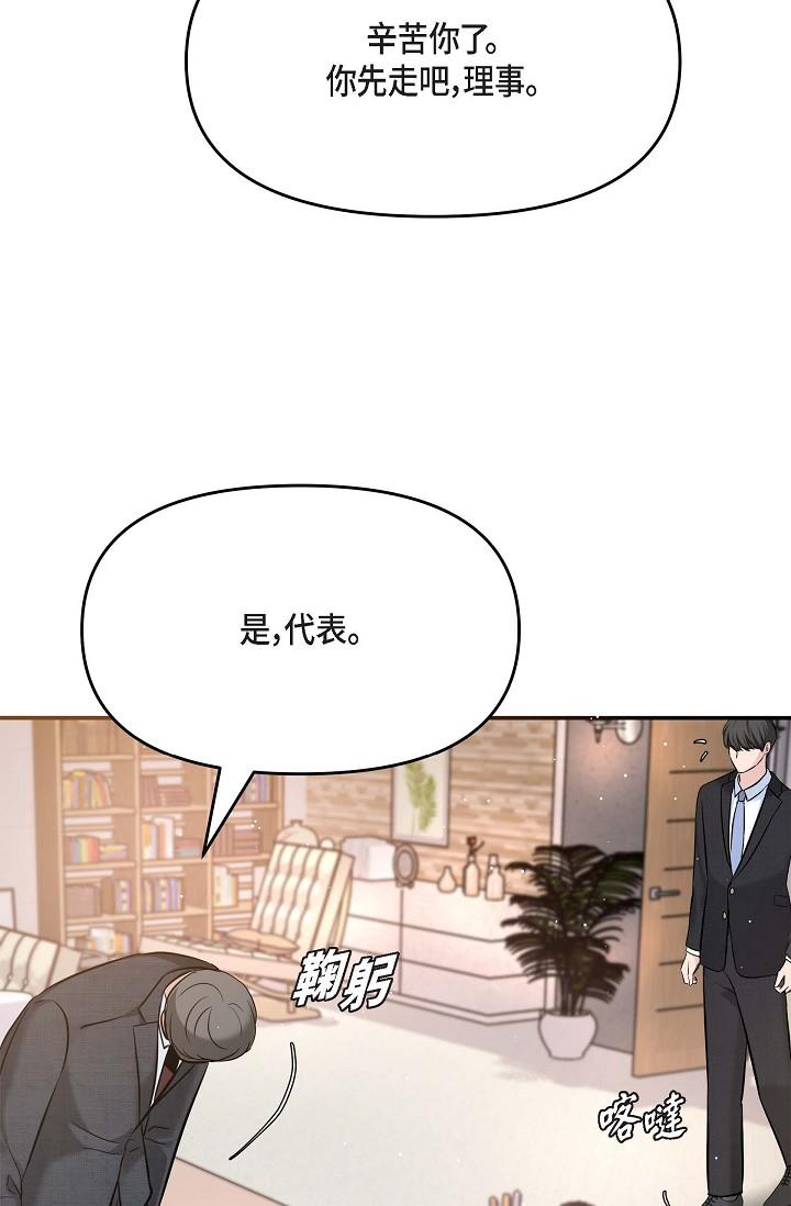 35P - 可疑的代表
