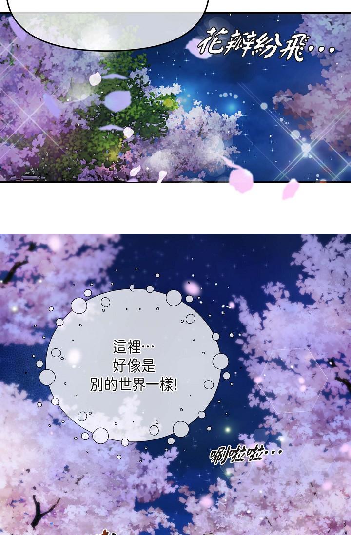49P - 可疑的代表