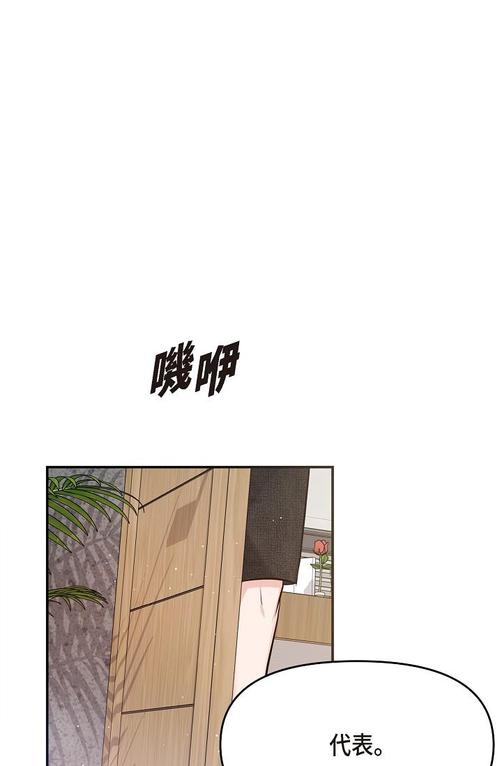 25P - 可疑的代表