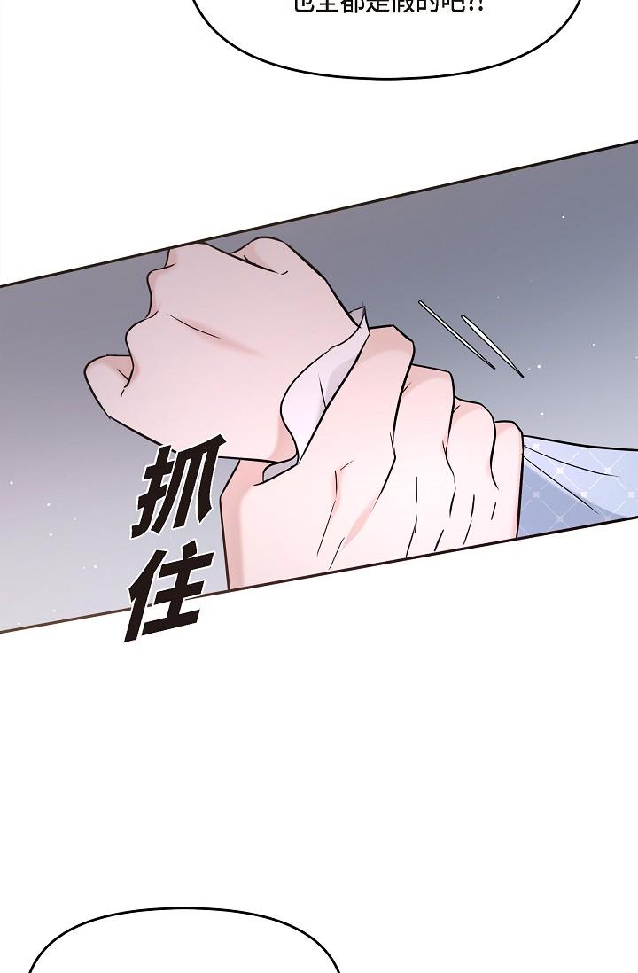 38P - 可疑的代表