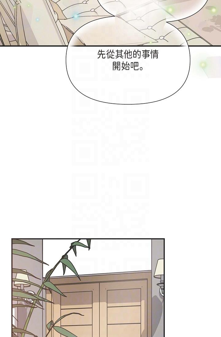 24P - 可疑的代表