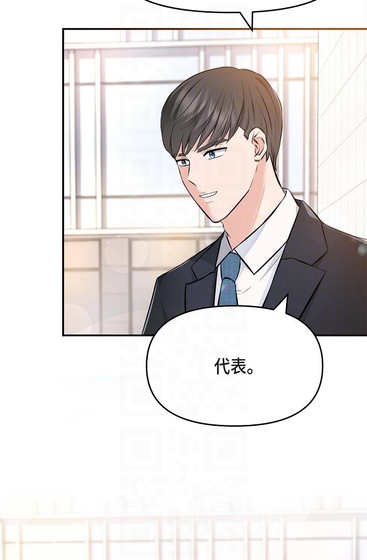 6P - 可疑的代表