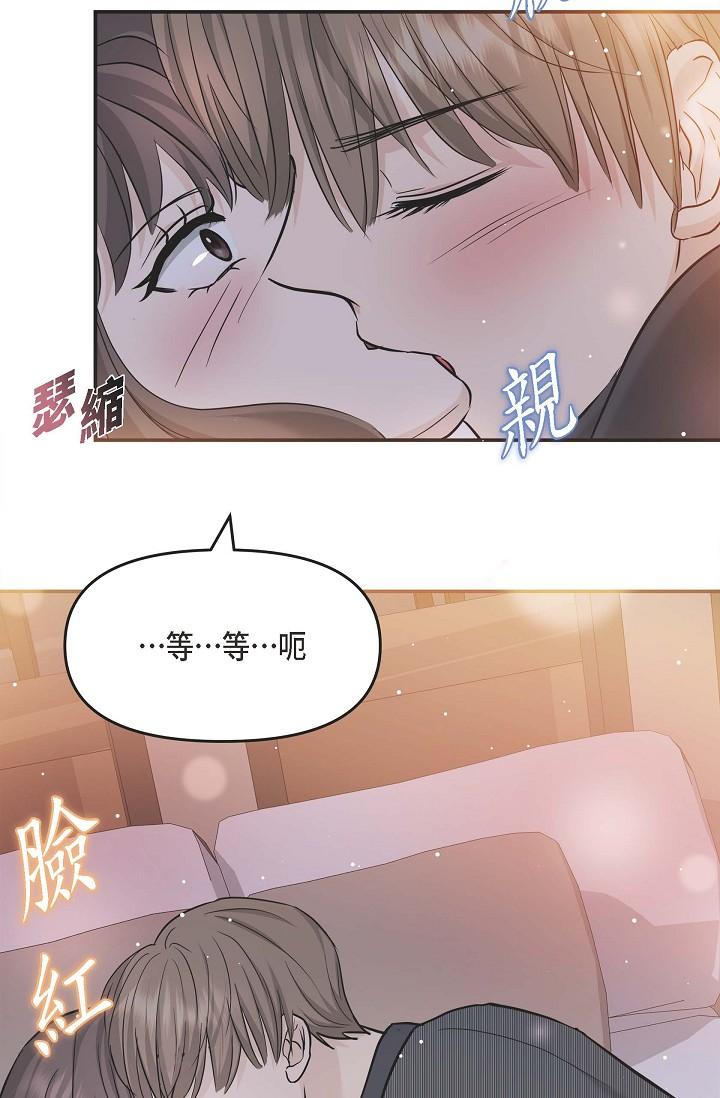 40P - 可疑的代表