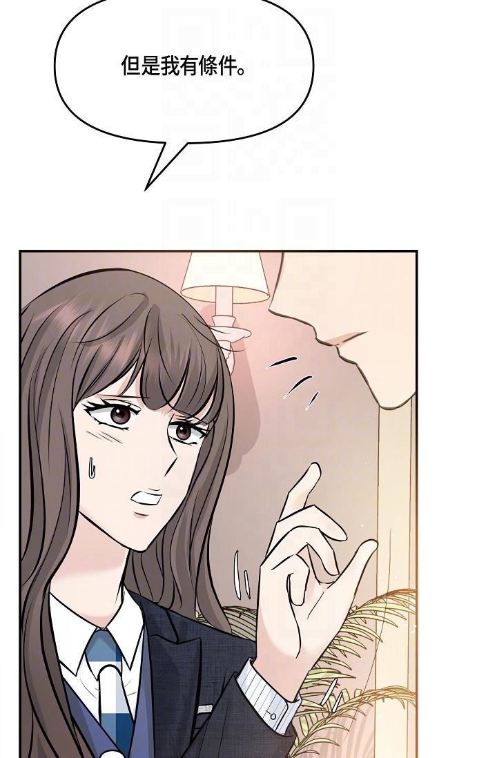 14P - 可疑的代表