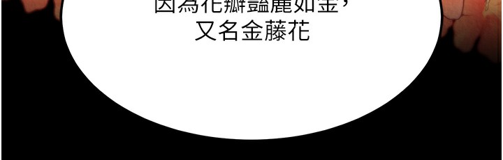 169P - 色雕英雄传：一捅天下