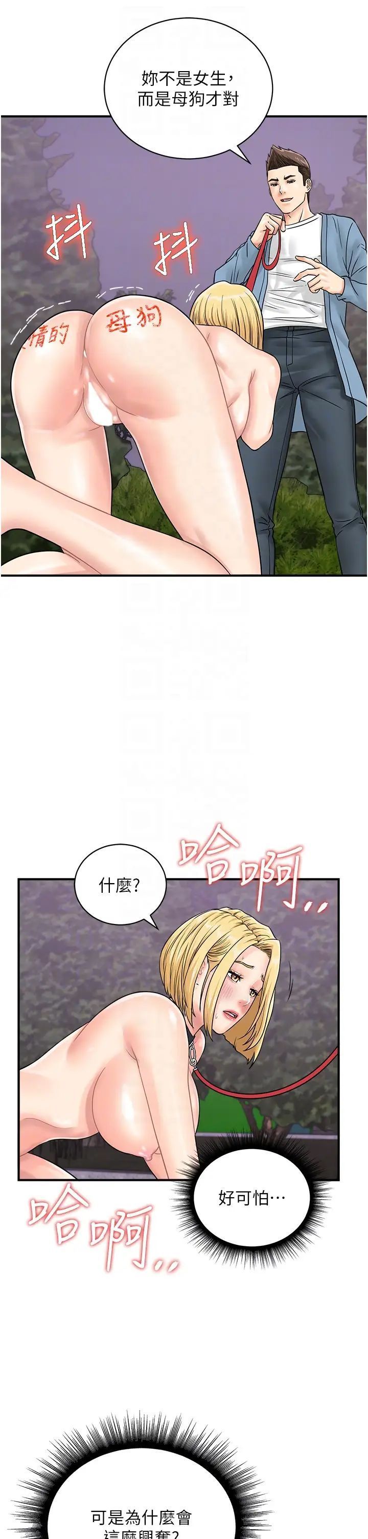 6P - 行动扫码鸡