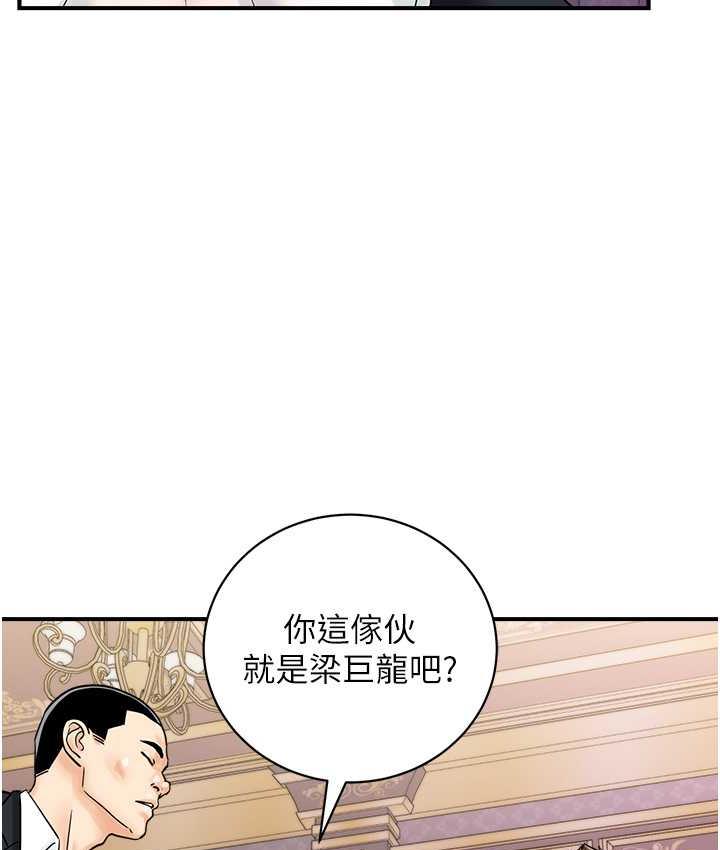 41P - 行动扫码鸡