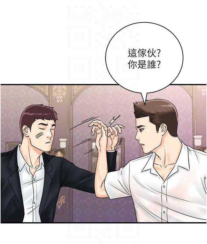 43P - 行动扫码鸡